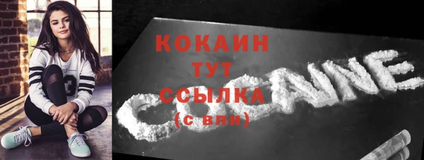 индика Вязьма